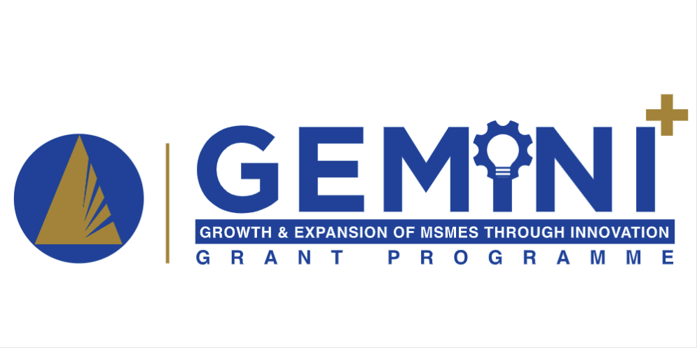GEMINI+